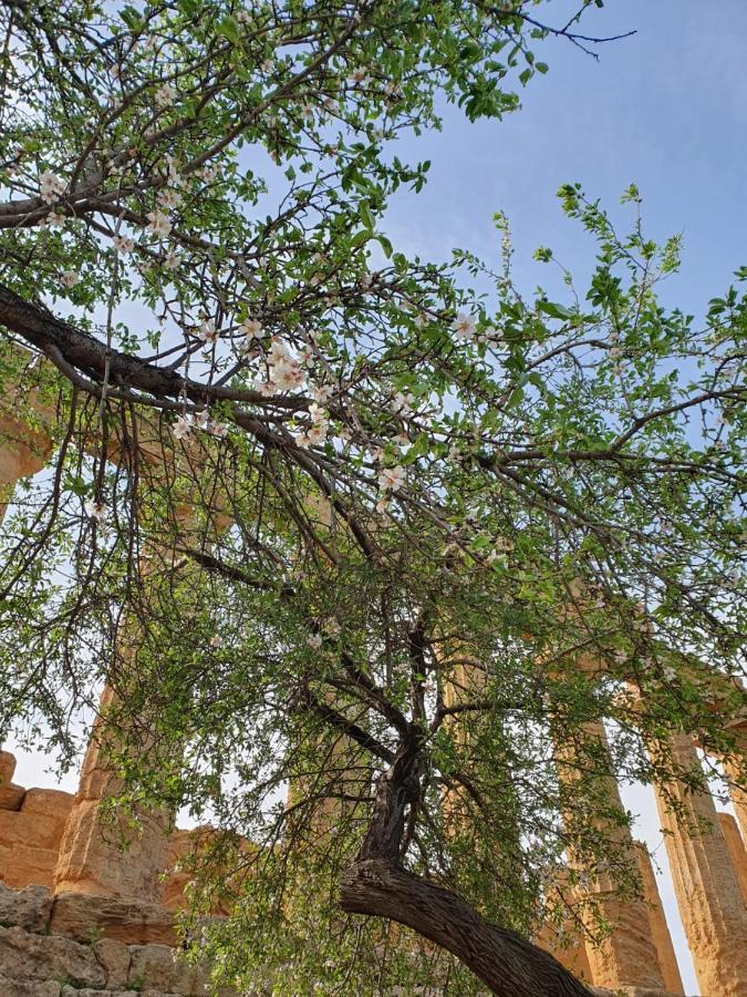 Villa Maresa Home ريالمونتي المظهر الخارجي الصورة